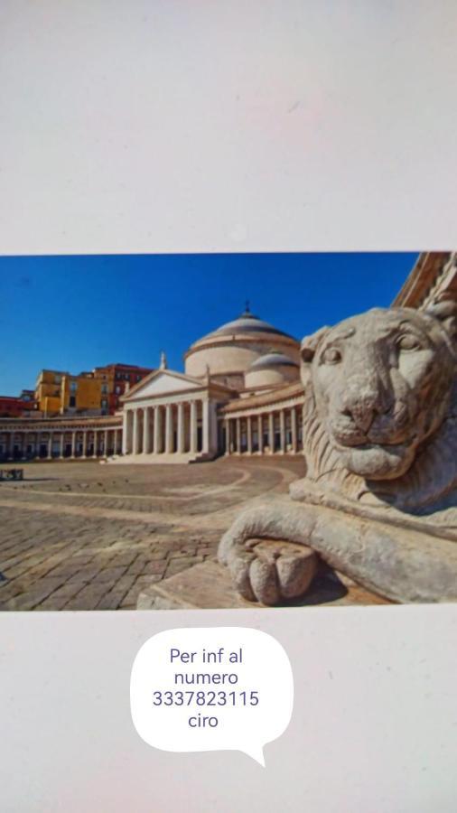 Casa Amelia Bed & Breakfast Napoli Dış mekan fotoğraf